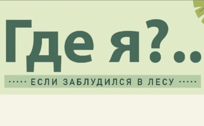 Спасатели напоминают: «лесного плена» можно избежать