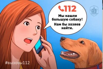 «Потерялась собака!»