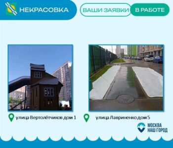Ваши заявки в работе